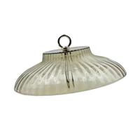 Fiocias Baffle pour Mangeoire Oiseau Pare-Pluie Protège-mangeoire Facile à Installer PP Inoxydable Convient à Utiliser Jardin Maison Cour, Clair