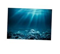 Fiocias Fond D'Aquarium Autocollant Poster de Scénique PVC sans Odeur Imperméable Image Réaliste pour Aquariums Familiaux et Espaces de Vie, S