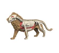 Fiocias Modèles de Corps d'animaux - Outils Pédagogiques - Démonstration de Biologie Animale pour Enfants, 3108