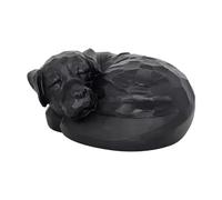 Fiocias Urne Funéraire pour Animaux de Compagnie, Coffret Souvenir, Cadeau Commémoratif pour Animaux de Compagnie