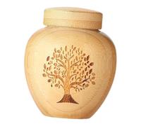 Fiocias Urne Funéraire pour Animaux de Compagnie - Mini Urne en Bois Robuste et Compacte - Cadeau Souvenir pour Un Animal Disparu