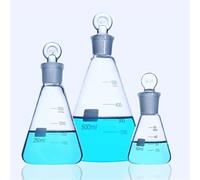 Fiole conique Erlenmeyer en verre borosilicaté de laboratoire de 50 ml à 1000 ml avec bouchon à anneau rodé n°19, n°24, n°29(100ml N0.24 2pcs)