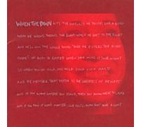 Fiona Apple - When The Pawn [Import]