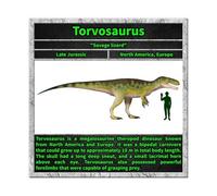 FIOPAHJ Poster sur toile Types de dinosaures - Décoration murale pour salon, chambre à coucher - 60 x 60 cm