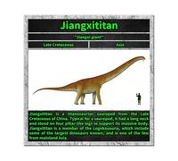 FIOPAHJ Poster sur toile Types de dinosaures pour chambre à coucher, bureau, chambre, cadeau 50 x 50 cm