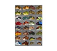 FIOPAHJ Poster sur toile Types de dinosaures pour chambre à coucher, bureau, chambre, cadeau 60 x 90 cm