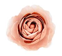 Fiore Medio Rosa Per Diffusore Di Fragranza Mami Milano 200ml Profumo Multicolore