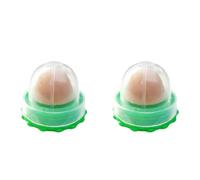 Fiorky 2 pièces Boules d'herbe à Chat Jouet léchage friandises Jouets, Boule d'herbe à Chat - Chat Chaton Herbe à Chat lécher Bonbons 3 * 3 cm Jouet à mâcher pour Chaton sain sûr Augmenter