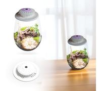 Fiorky Lampe de culture LED, fougère mousse micro-paysage avec minuterie, lampe de croissance de plantes, 6 500 K, terrarium en verre, lampe de culture pour plantes d'intérieur, plantes