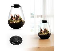Fiorky Lampe de culture LED, fougère mousse micro-paysage avec minuterie, lampe de croissance de plantes, 6 500 K, terrarium en verre, lampe de culture pour plantes d'intérieur, plantes