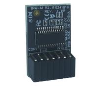 Fiorky pour AS-US TPM-M R2.0 Module TPM 14-1 Broches Le Module de Plate-Forme de Confiance (TPM) LPC 15x25mm pour Cartes mères d'ordinateur AS-US