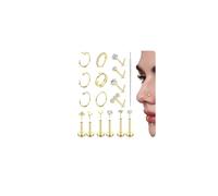 FIOROYAL 16Pcs Piercing Nez 316L Piercing Nez Acier Chirurgical 14K Gold Sans Filetage Push in Flat Back CZ Piercing Oreille Hoops Cartilage Helix Tragus Or/Argent 18G 20G JX