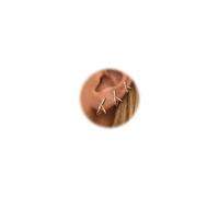 FIOROYAL Boucles d'Oreilles pour Femme Or/Argent 14K Plaqué Or Hypoallergénique Boucles d'Oreilles Creoles Or Acier Inoxydable Piercing Oreille Helix Cartilage pour for Multiple Piercing G2
