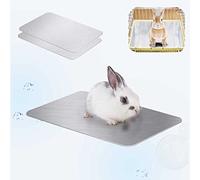 FIPASEN Coussin de Refroidissement pour Lapin, 30x20cm Tapis de Refroidissement pour Lapins, Cochon d'Inde, Chinchilla, Hamster et Autres Petits Animaux Restent Cool - Assiette Cool Lapin (2PCS)