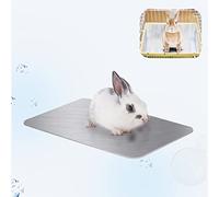 FIPASEN Coussin de Refroidissement pour Lapin, 30x20cm Tapis de Refroidissement pour Lapins, Cochon d'Inde, Chinchilla, Hamster et Autres Petits Animaux Restent Cool - Assiette Cool Lapin (1PCS)