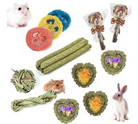 FIPASEN Jouets à Mâcher pour Lapin Nain, Lot de 16 Jouets à Mâcher Timothy Hay Naturel, Améliorer la Santé Dentaire pour Lapin/Chinchilla/Cobaye/Hamsters, Jouets pour Petits Animaux à Mâcher