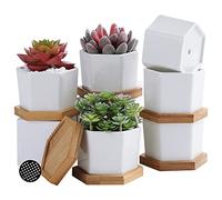 Fippy 6 pièces Petit Pot de Fleurs en Céramique Pot Succulentes Céramique Blanc Mini Pots de Plantes Succulentes Parfait pour Le Décor de Balcon de Bureau à Domicile