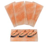 Fiqops Lot de 4 pierres de sel pour griller - 20 x 10 x 2,5 cm - Réutilisables - Sel cristal original du promontoire - Plaque de sel pour barbecue