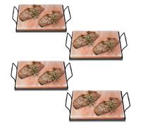 Fiqops Lot de 4 pierres de sel XXL - 20 x 30 x 3 cm - Avec plaque de fer - Réutilisables - Sel cristal original du promontoire - Plaque de sel pour barbecue