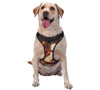 Fire and Flames Harnais de qualité supérieure pour chiens de petite, moyenne et grande taille - Durable, ne tire pas avec sangles réfléchissantes et boucles à dégagement rapide, taille S