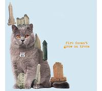 Fire Doesn’t Grow on Trees