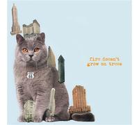 Fire Doesn't Grow On Trees CD
