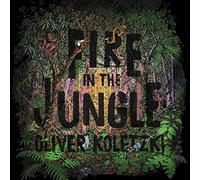 Fire In The Jungle (CD+MP3)