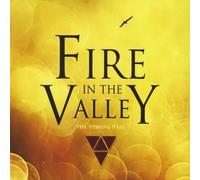 Fire in the Valley by Wishing Well (2010-03-22)