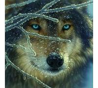 Fire Within Ice 500 pc Jigsaw Puzzle G