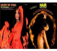 Firebirds - Light My Fire
