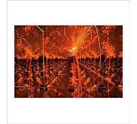 Firecracker in a Box of Mirrors (Orange