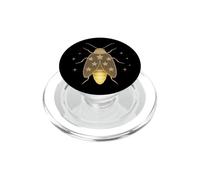 Firefly Lightning Bug Glowworm Insectes fantaisistes Entomologie PopSockets PopGrip pour MagSafe