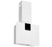 FIREGAS Hotte aspirante 60cm avec Filtre CC170, Moteur Brushless, Économie d'énergie, 9 Vitesses, 487 m³/h, Mode Évacuation ou Recirculation, En Acier Inoxydable Et Verre Trempé