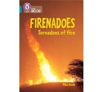 Firenadoes Tornadoes of fire by Mike Gould Paperback Book Mike Gould (Auteur)