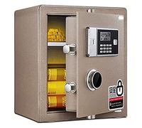 Fireproof Waterproof Safes and Safety Boxes for Electronic Steel Safe with Keypad, 2 Manual Override Keys-Protect S-for Home, Money Hiding Box