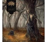 Fires in the Distance - Echoes from Deep November [Import]