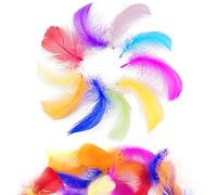 Firschoie 500 Pcs Plumes Colorées, Plume Decoration, Naturelles Plume, Plumes Loisirs Creatifs pour le Bricolage, Mariage, Attrape-Rêves, Plumes de Coiffure, Décoration de la Maison, 6-12cm