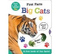 First Facts Big Cats by Georgie Taylor Georgie Taylor (Auteur)