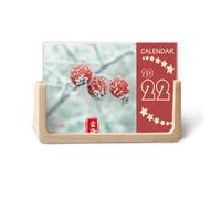 First Frost Calendrier de bureau 2022 à motif solaire 12 mois