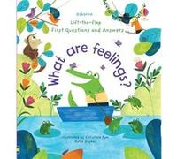 First Questions and Answers What are Feelings by Katie Daynes Unknown (Auteur)