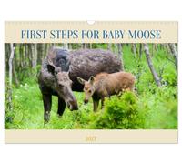 FIRST STEPS FOR BABY MOOSE (Wall Calendar 2027 DIN A3 landscape), CALVENDO 12 Month Wall Calendar: Mother moose protects her baby as he takes his first steps in the forest