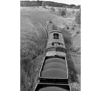 First Ten Days: Book 6 of The Adams/Williams Railroad Novels