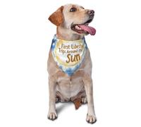 First Trip Around The Sun Aquarelle Planètes et étoiles Imprimé graphique Animal de compagnie Triangle Écharpe pour chiens et chats, bandana mignon réglable pour animaux de compagnie et séances photo