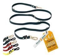 FIRSTPAW Laisse Chien 2M - Vert/Dore - New 2024 - Étanche, Solide, Confortable et Multifonctionnelle Laisse Double pour 2 Chiens - Laisse Main Libre Chien pour Petits, Moyens et Grands Chiens