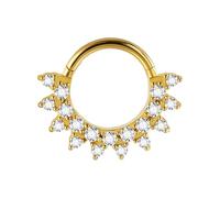 FIRSTXIU Anneaux de nez simples en cristal pour septum Clickers en acier inoxydable, accessoire de piercing pour cartilage d'oreille, bijoux de corps élégants, U, Comme décrit, Comme décrit.