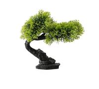 FIRSTXIU Aquariums Paysage Arbre Résines Aquariums Décorations Art Terrarium Habitat Ornements Photo Accessoires Décorations Arbre Miniature