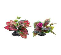 FIRSTXIU Aquariums Paysage Herbe Résine Aquariums Décorations Art Terrarium Habitat Ornements Photo Accessoires Plante Artificielle Aquarium Plante réaliste