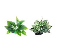 FIRSTXIU Aquariums Paysage Herbe Résine Aquariums Décorations Art Terrarium Habitat Ornements Photo Accessoires Plante Artificielle Aquarium Plante réaliste