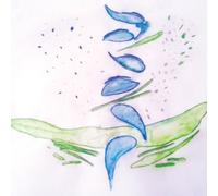 Fis - Iterations [Import]