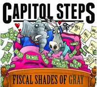 Fiscal Shades of Gray